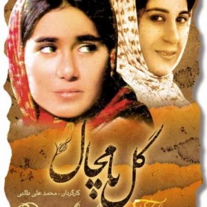 http://atiniaz.com/ax/307/307%20_8_.jpg